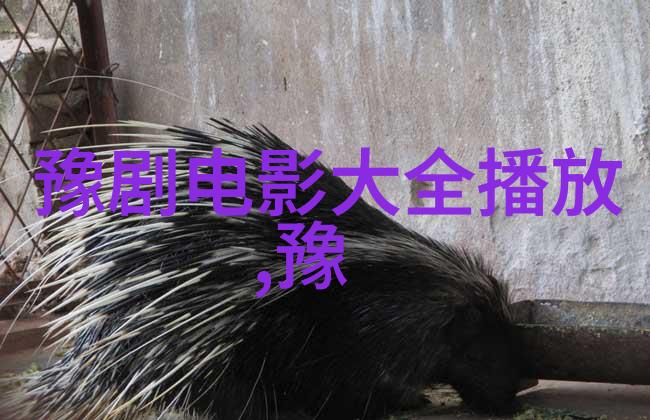 豫剧名家宋丽珍