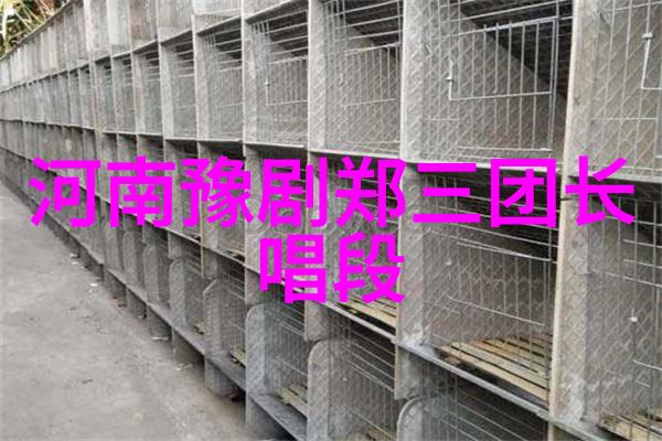 豫剧团导演李利宏与国家一级编剧孟华合作筹备玄奘大师