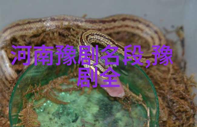 菏泽市牡丹区豫剧一团送戏下乡