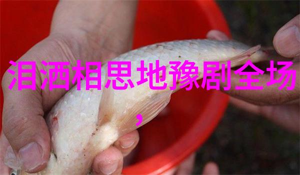 豫东调的早期科班柘城县大公议班